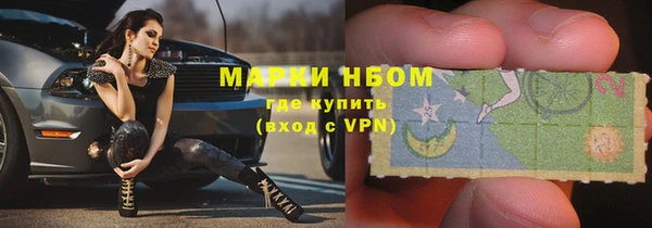 СК Алексин