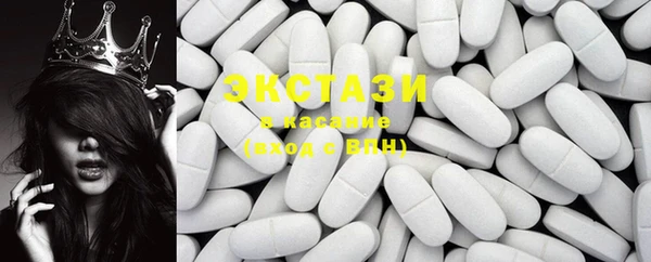 стаф Алзамай
