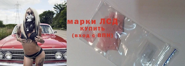 прущие крисы Приозерск