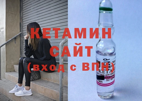 стаф Алзамай