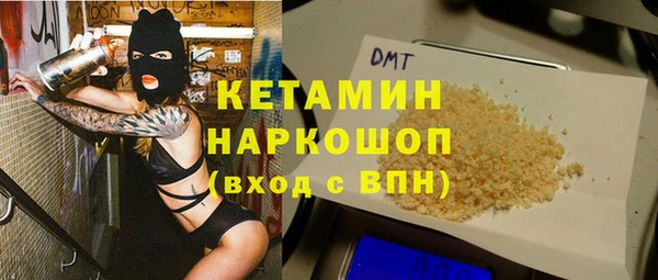 стаф Алзамай