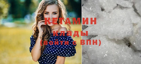 СК Алексин