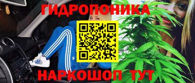spice Заводоуковск
