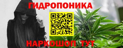 spice Заводоуковск