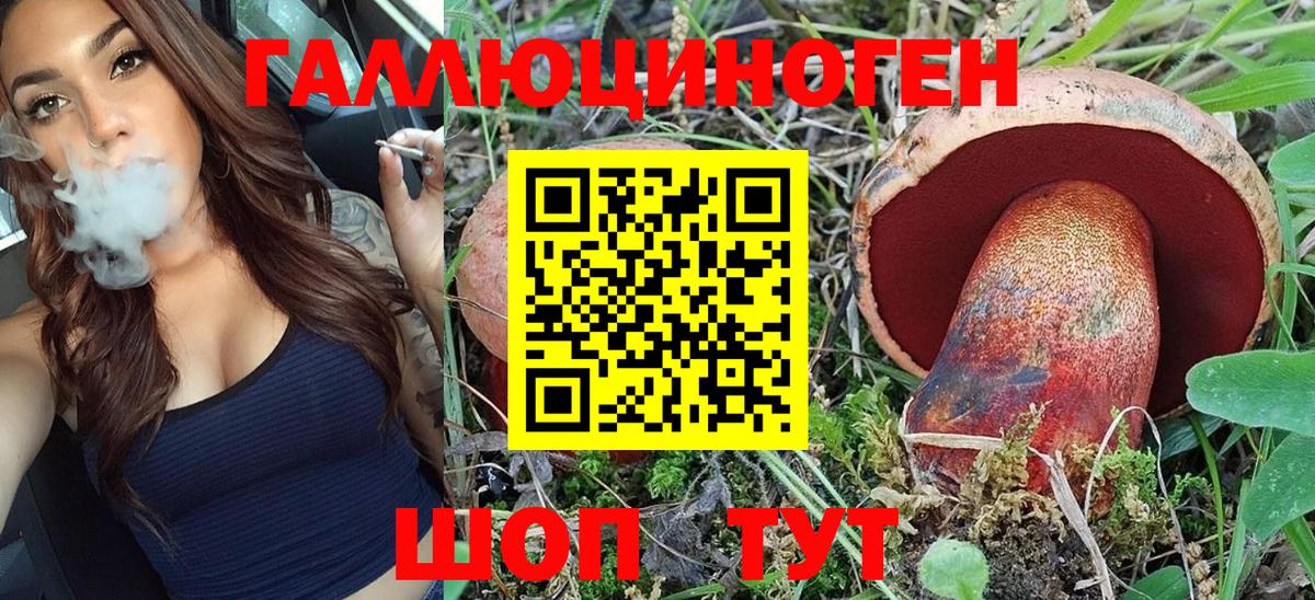Нефтекумск  Галлюциногенные грибы Psilocybe  Вход с VPN 
